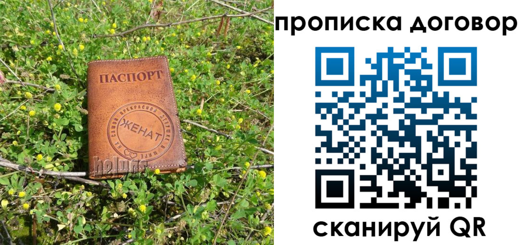 прописка регистрация в Россоши
